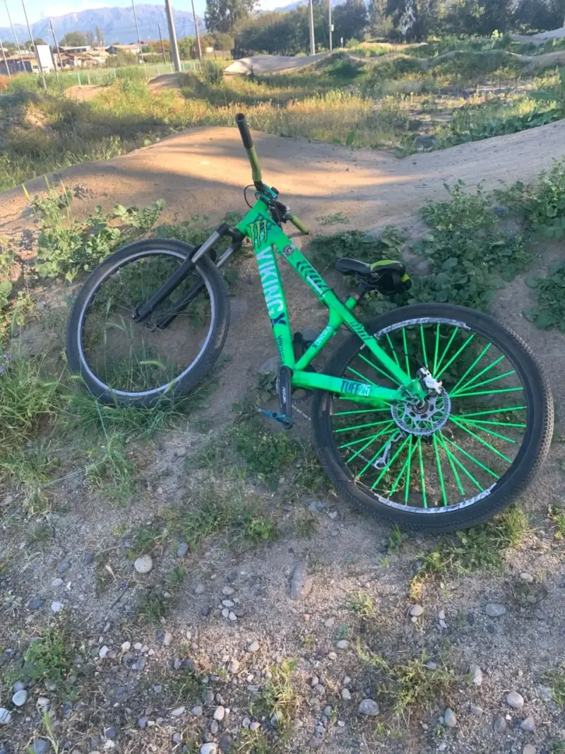 Bicicleta verde Viking Tuff 25 - 2