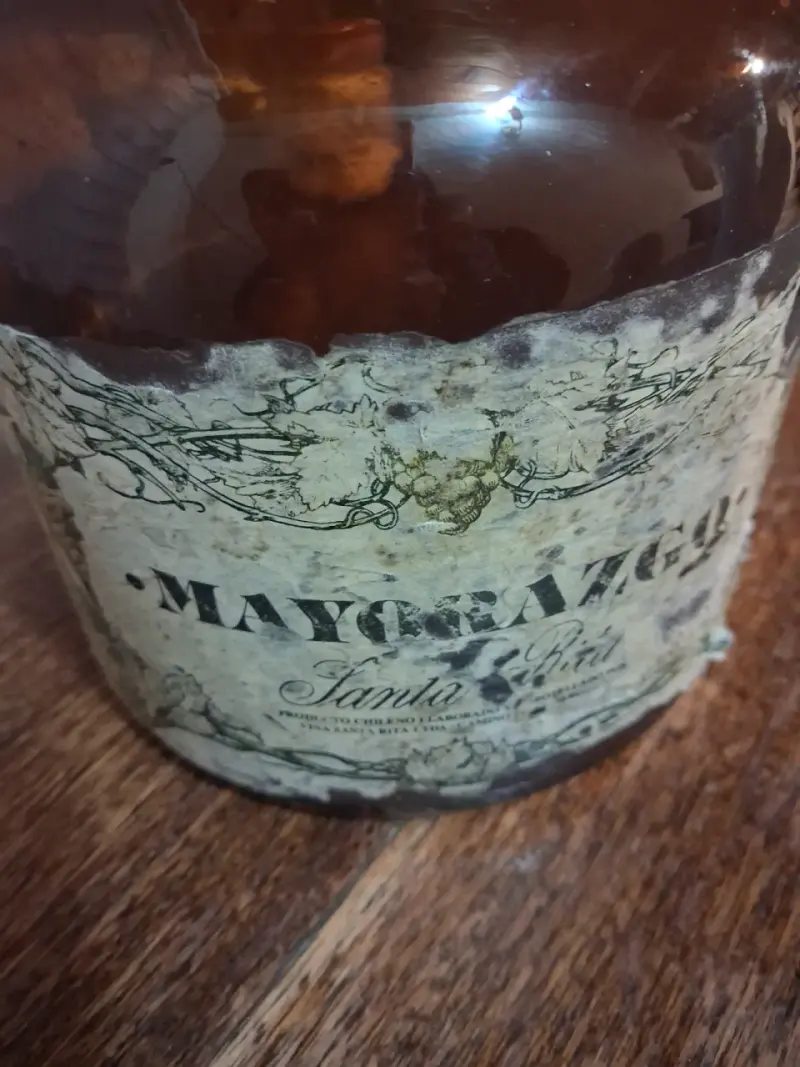 Botella Damajuana antigua Mayorazgo Santa Rita - 2