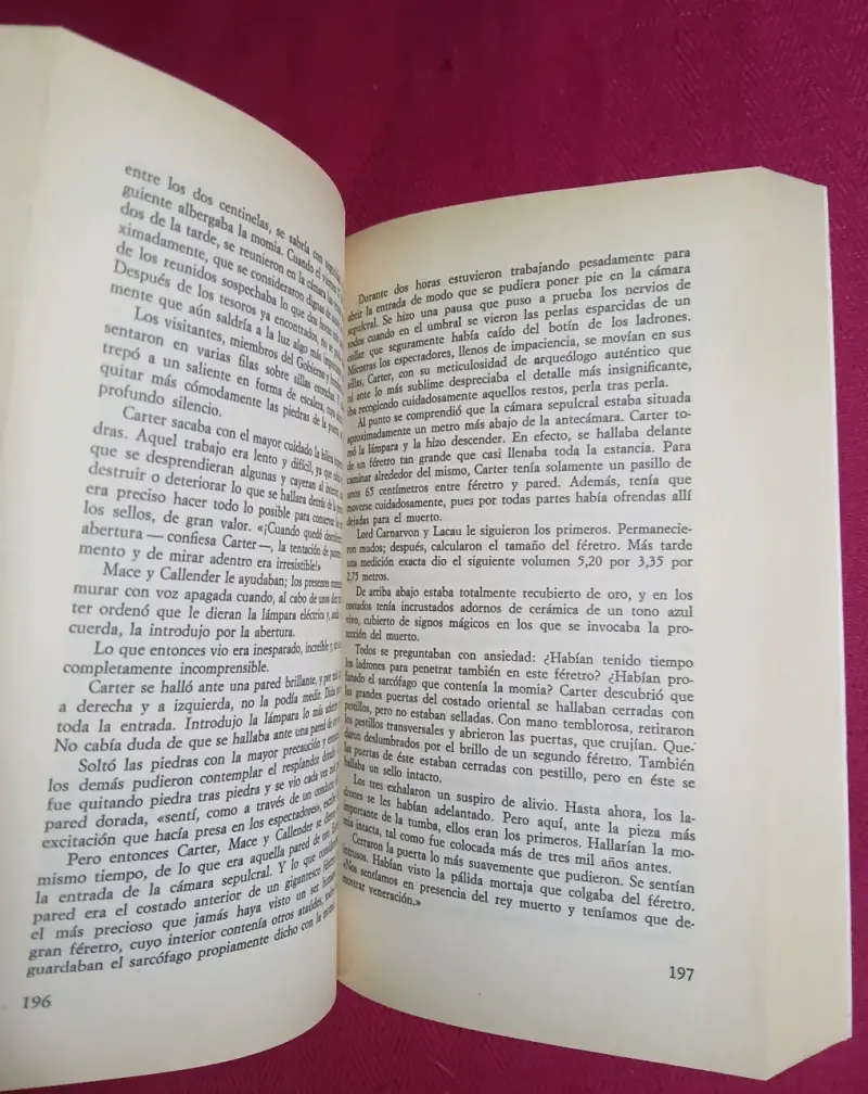 Libro 'Dioses, tumbas y sabios' de C.W. Ceram - 6