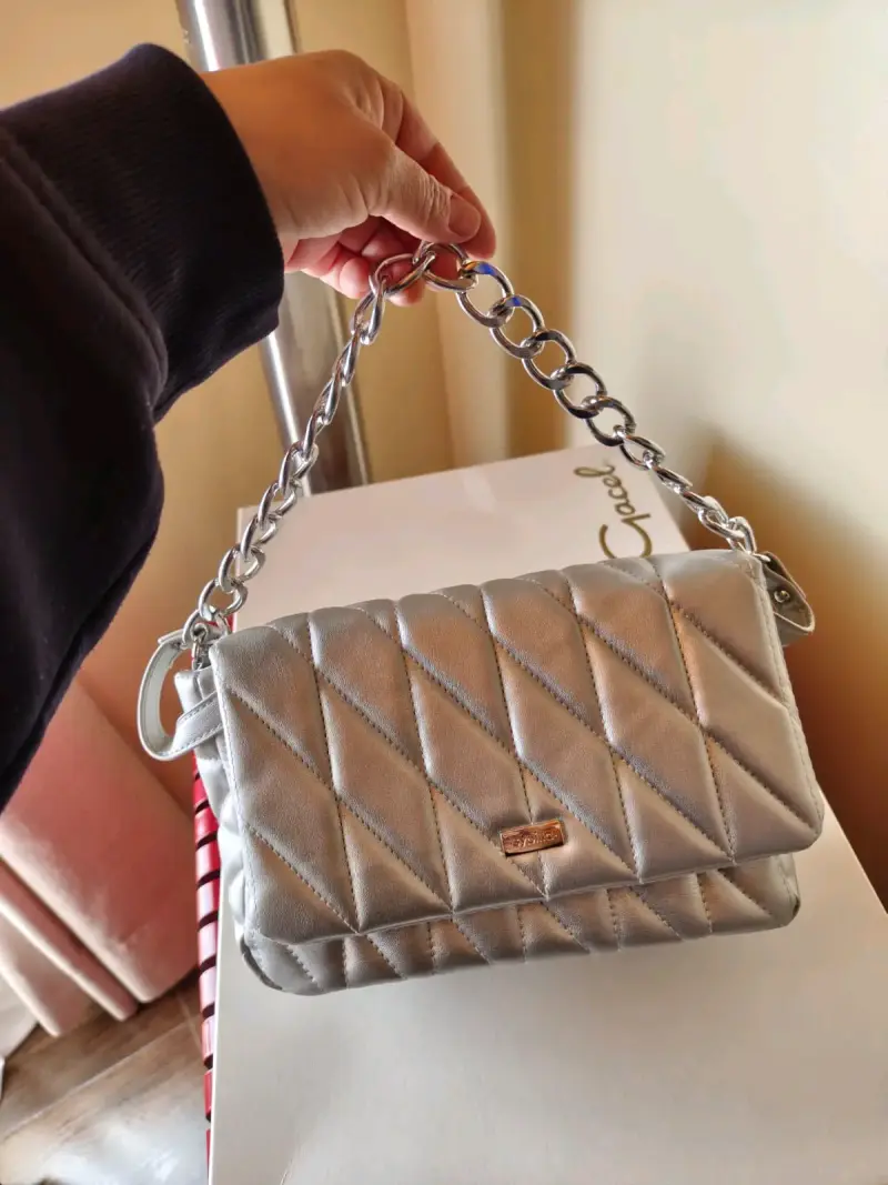 Cartera plateada con cadena metálica - 1