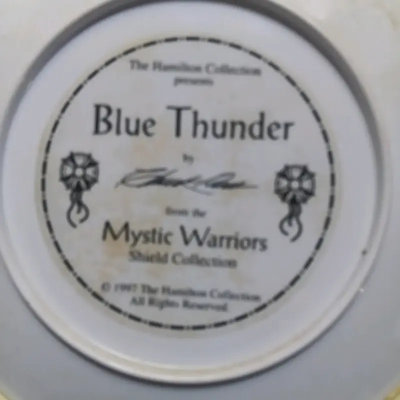 Plato decorativo Blue Thunder con diseño indígena - 5