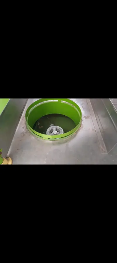 Carro de Comida Rápida Verde - miniatura 6