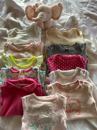 Lote de ropa de bebé para niña en buen estado - miniatura 3