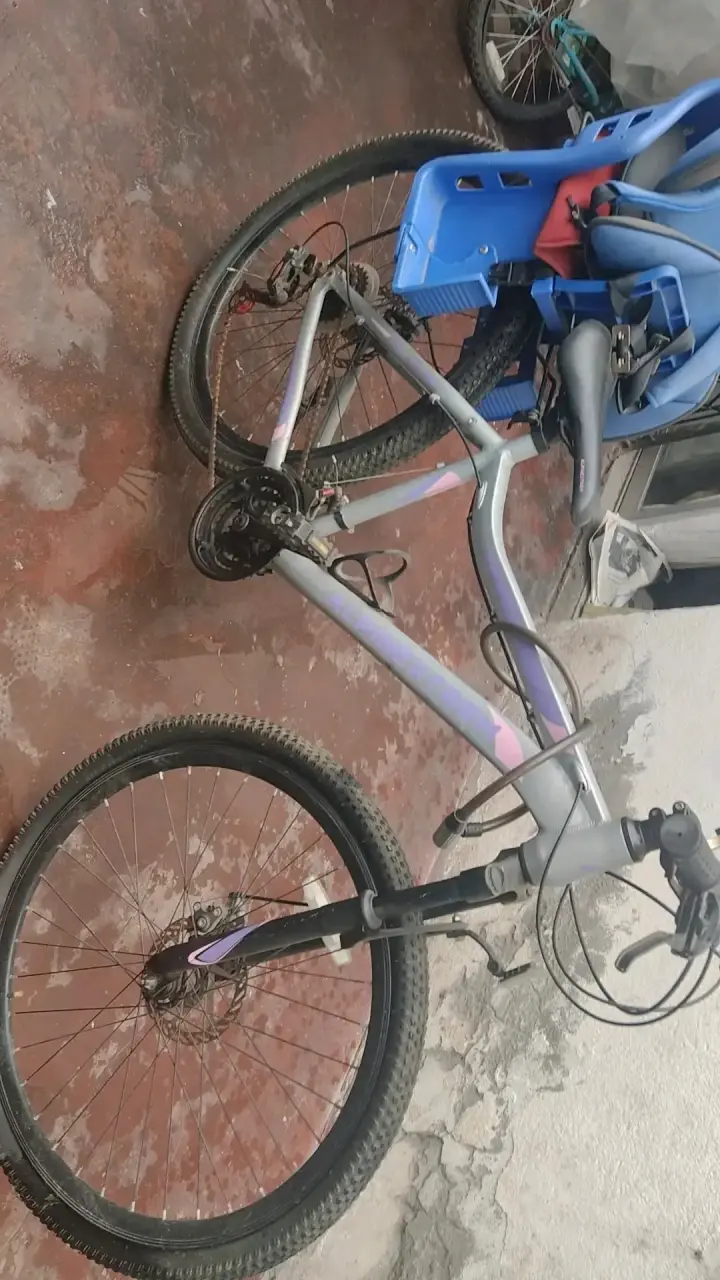 Bicicleta de montaña con asiento infantil - 1