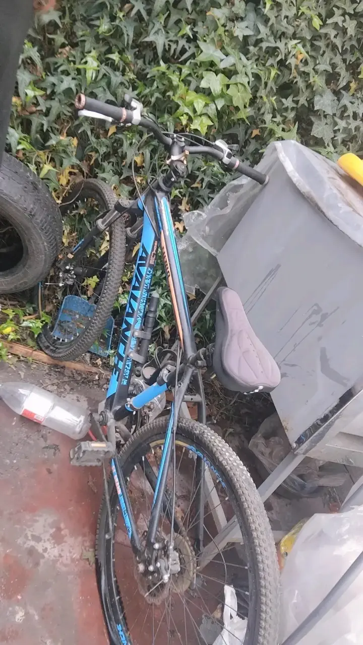Bicicleta de montaña con asiento infantil - 2