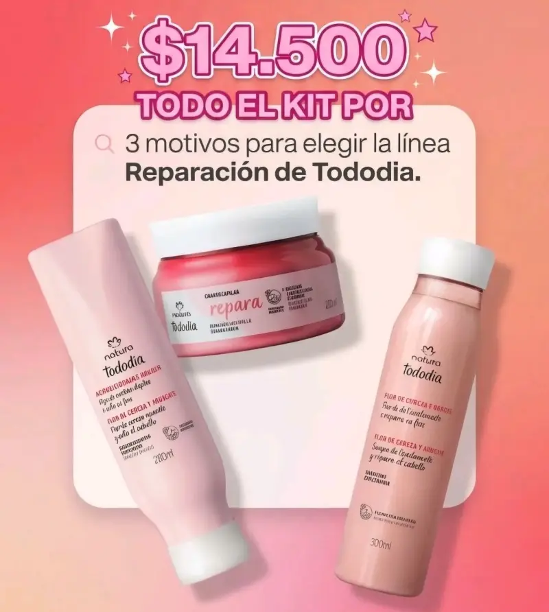 Kit de Cuidado Capilar Natura Tododia Reparación