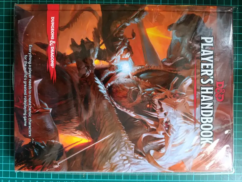Lote de manuales de Dungeons & Dragons - 3