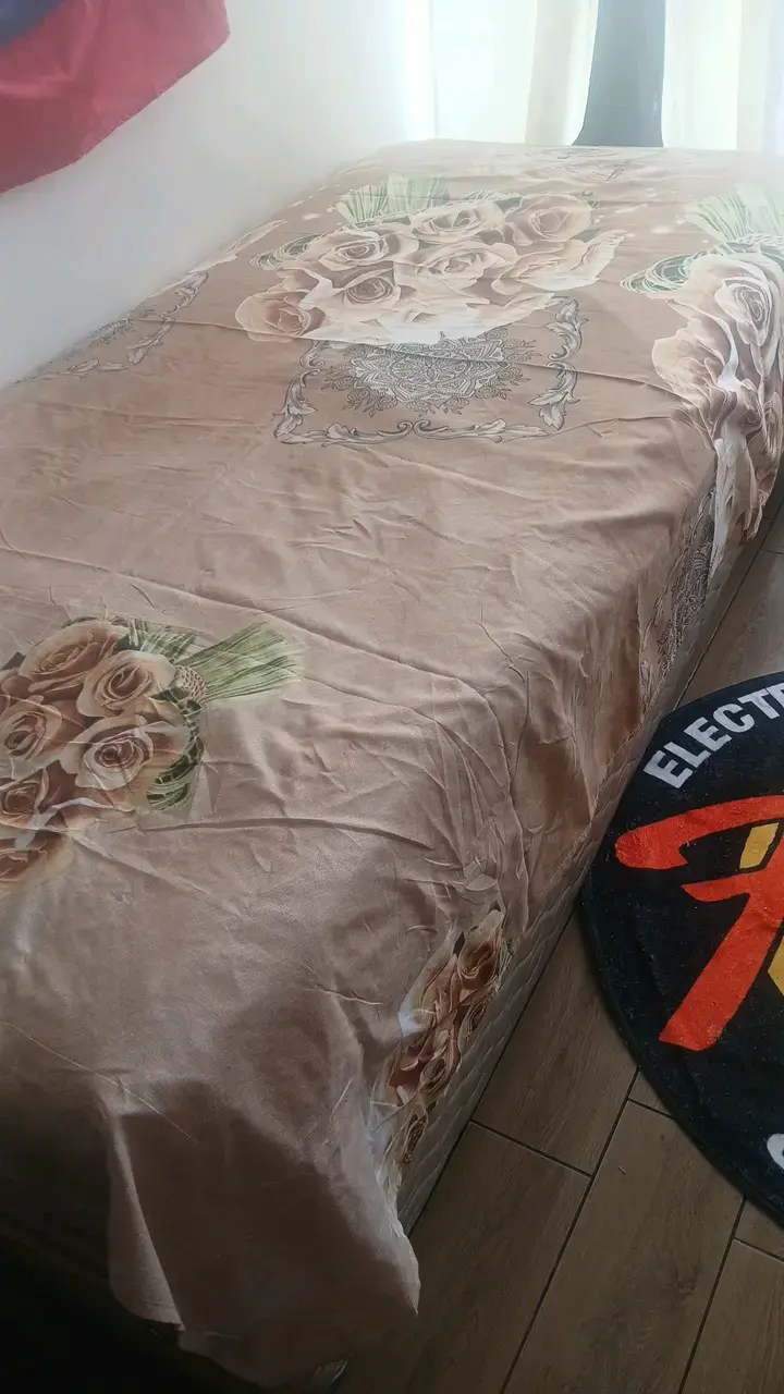 Se vende cama de una plaza - 1