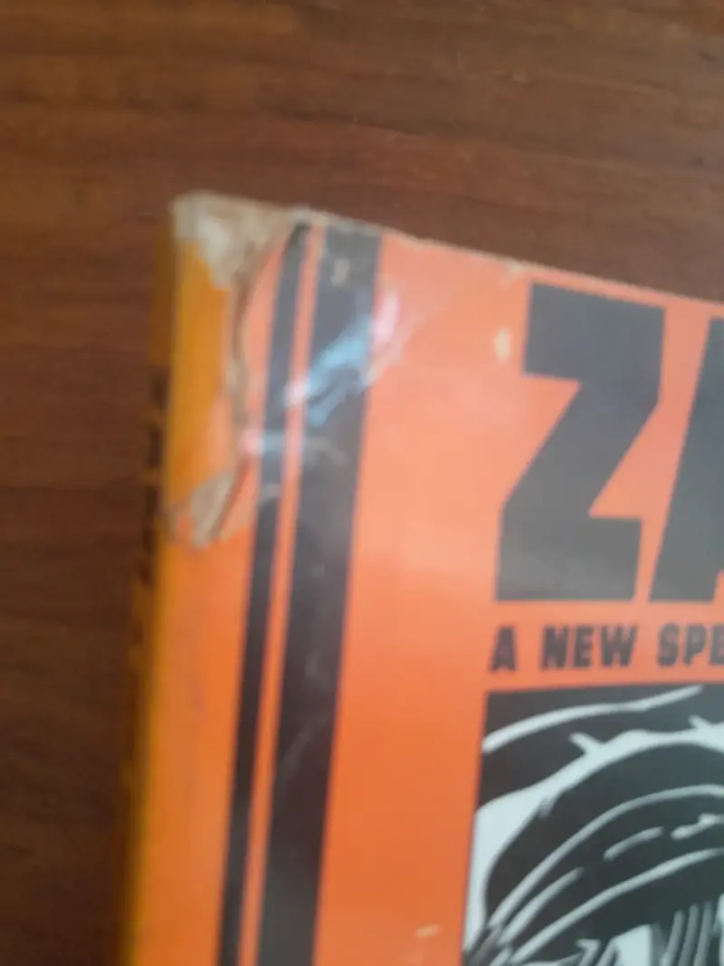 Audre Lorde'Zami: A New Spelling of My Name' - 2