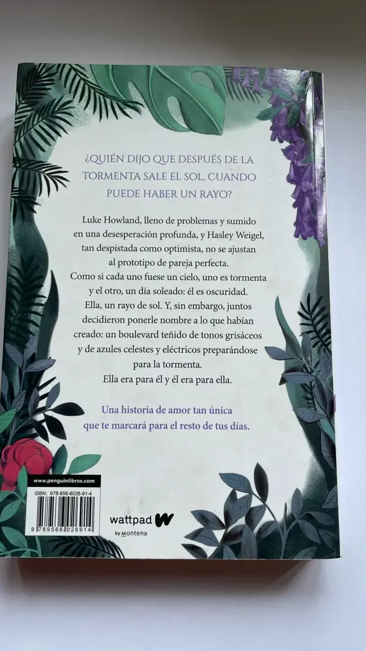 Libro 'Boulevard' de Flor M. Salvador - 2