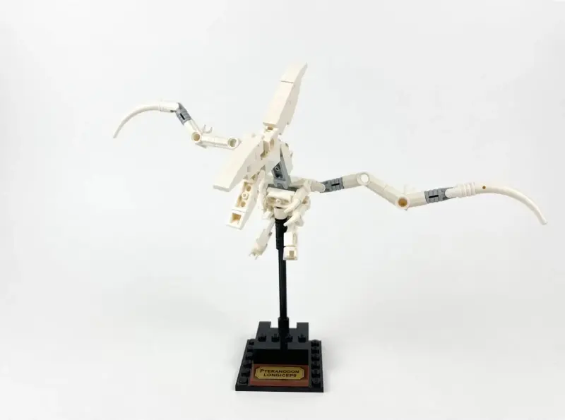LEGO IDEAS FÓSILES DE DINOSAURIO  — DESCATALOGADO - 4