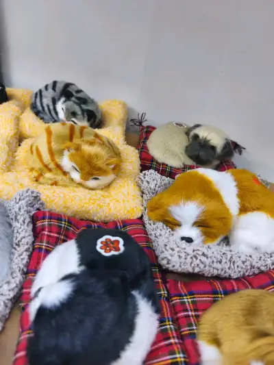 Adorables mascotas de peluche realistas - miniatura 1