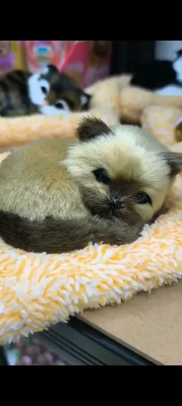 Adorables mascotas de peluche realistas - 2