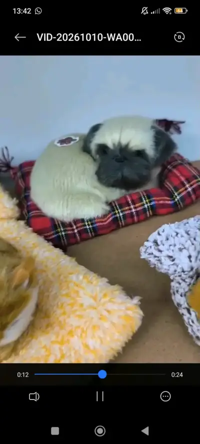Adorables mascotas de peluche realistas - miniatura 3