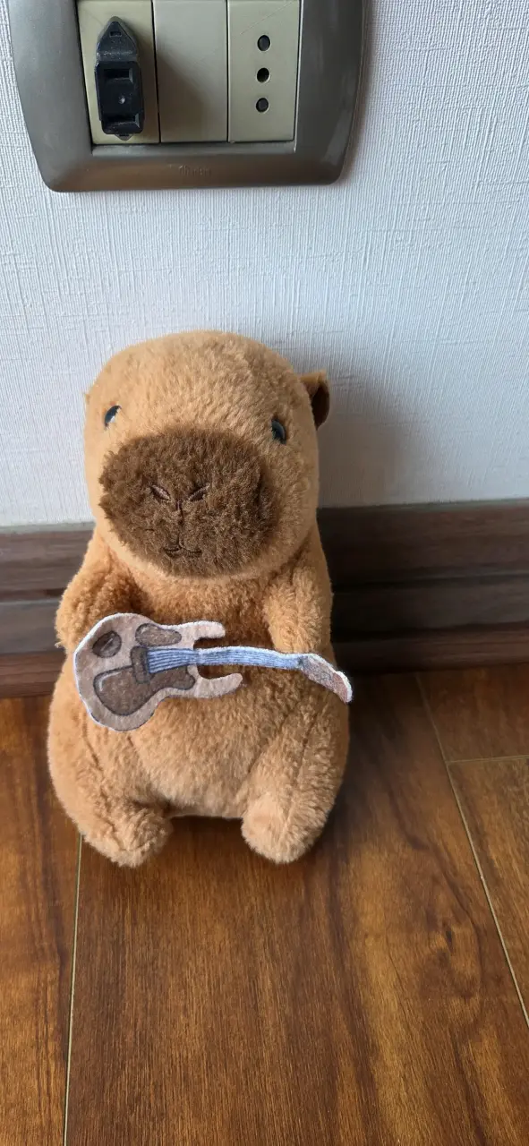Peluche de capibara con guitarra - 4