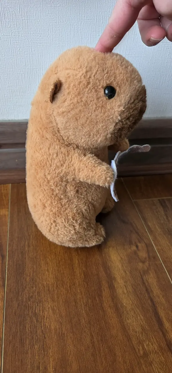 Peluche de capibara con guitarra - 6