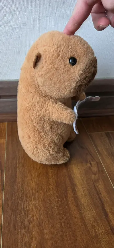 Peluche de capibara con guitarra - miniatura 6