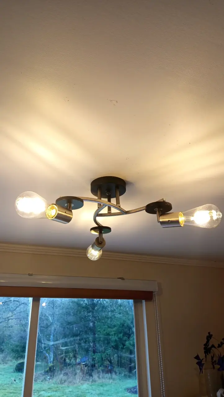 Lámpara de Techo Moderna con Bombillas LED - 2