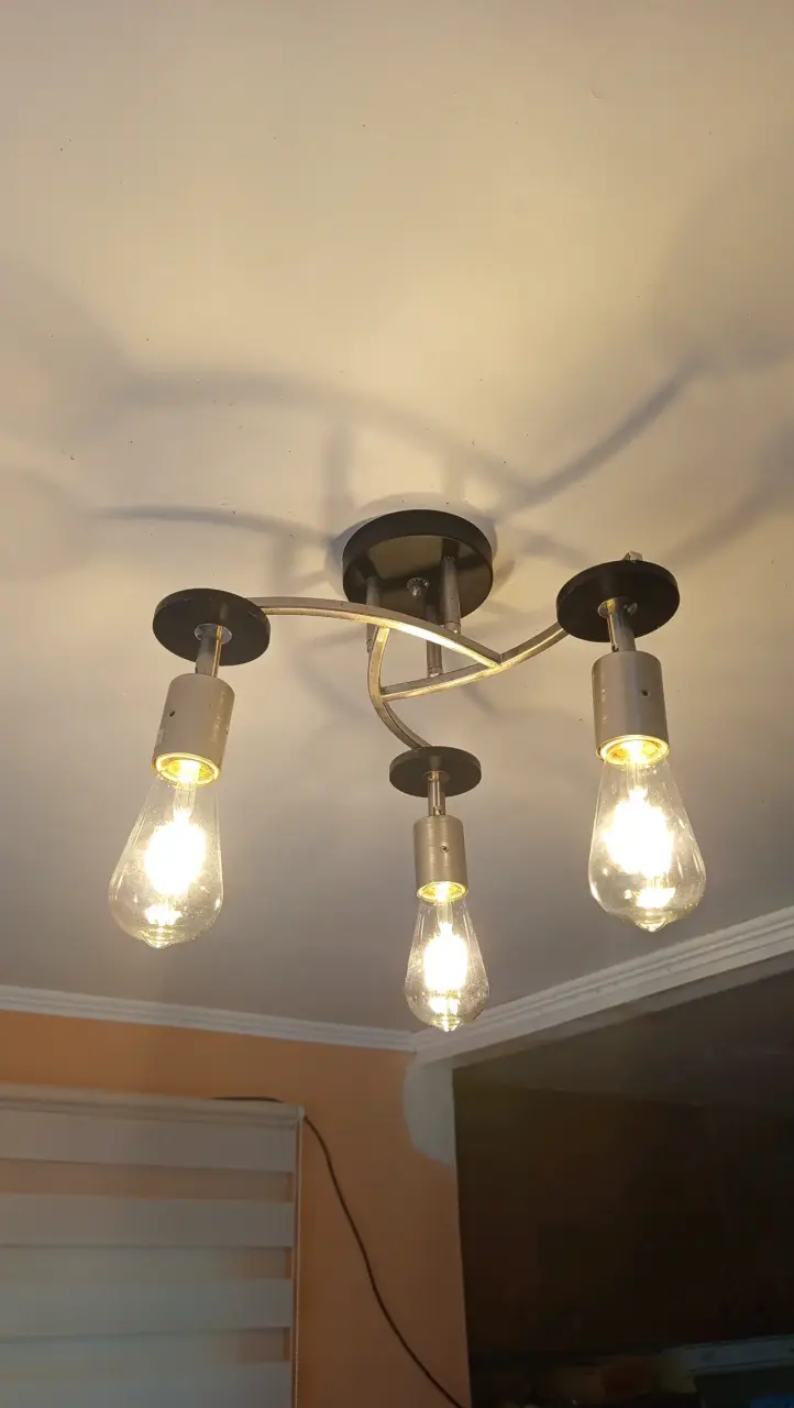 Lámpara de Techo Moderna con Bombillas LED - 3