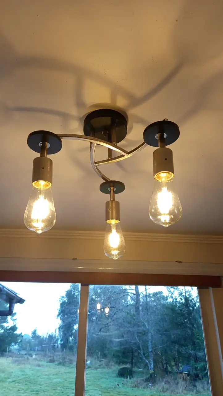 Lámpara de Techo Moderna con Bombillas LED - 5