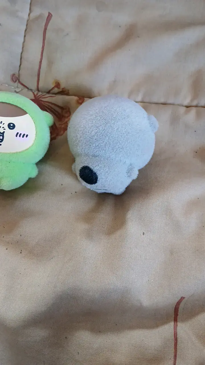 Peluches pequeños Nagano, rakko y el verde - 2