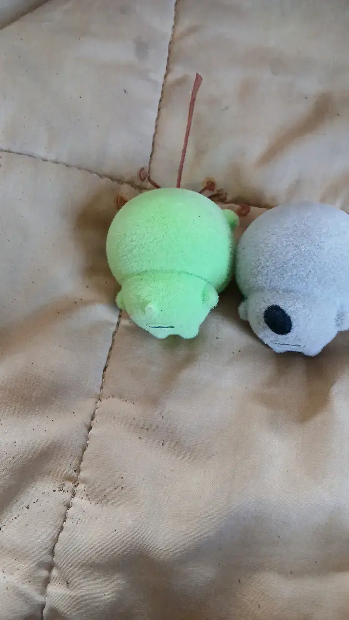 Peluches pequeños Nagano, rakko y el verde - 3