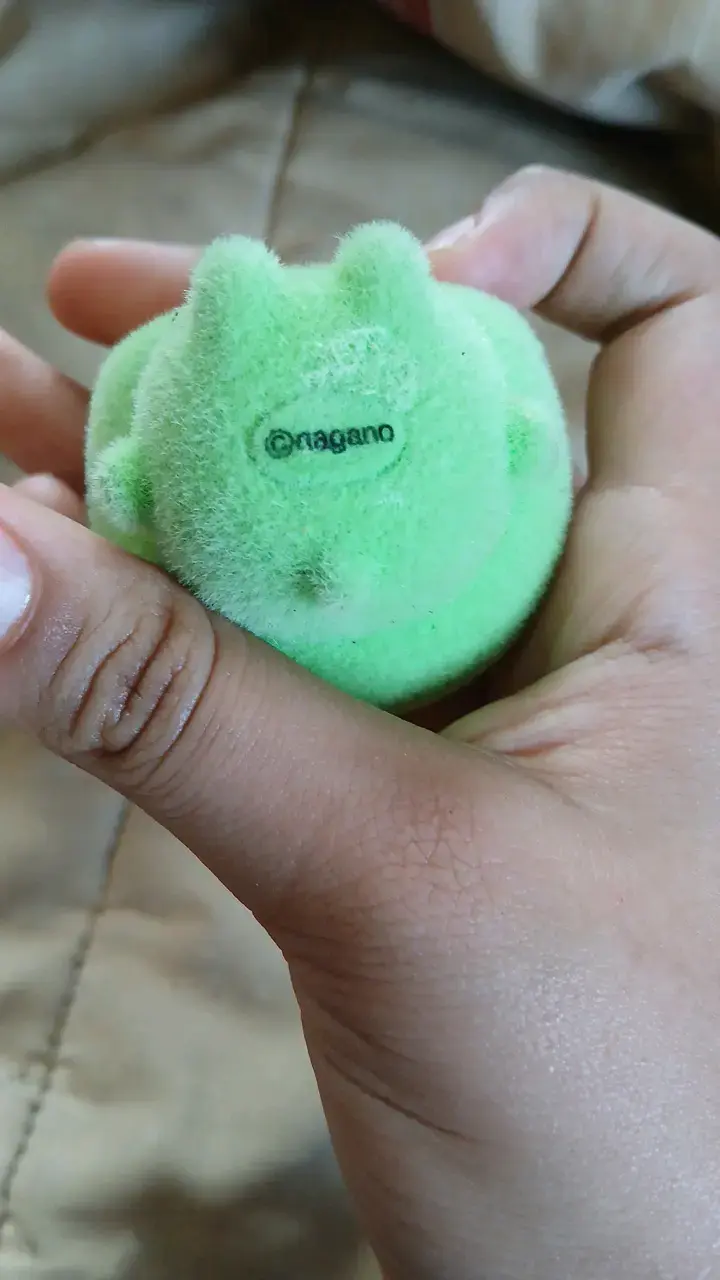 Peluches pequeños Nagano, rakko y el verde - 4