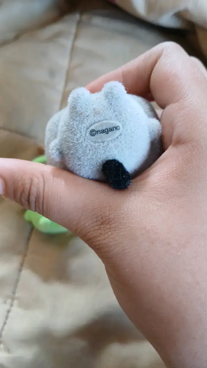 Peluches pequeños Nagano, rakko y el verde - 6