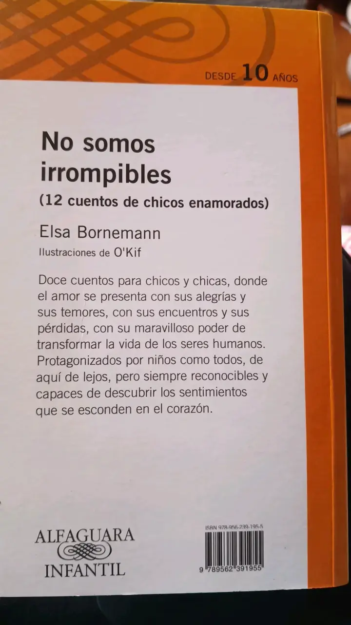 Libro No Somos Irrompibles de Elsa Bornemann - 2