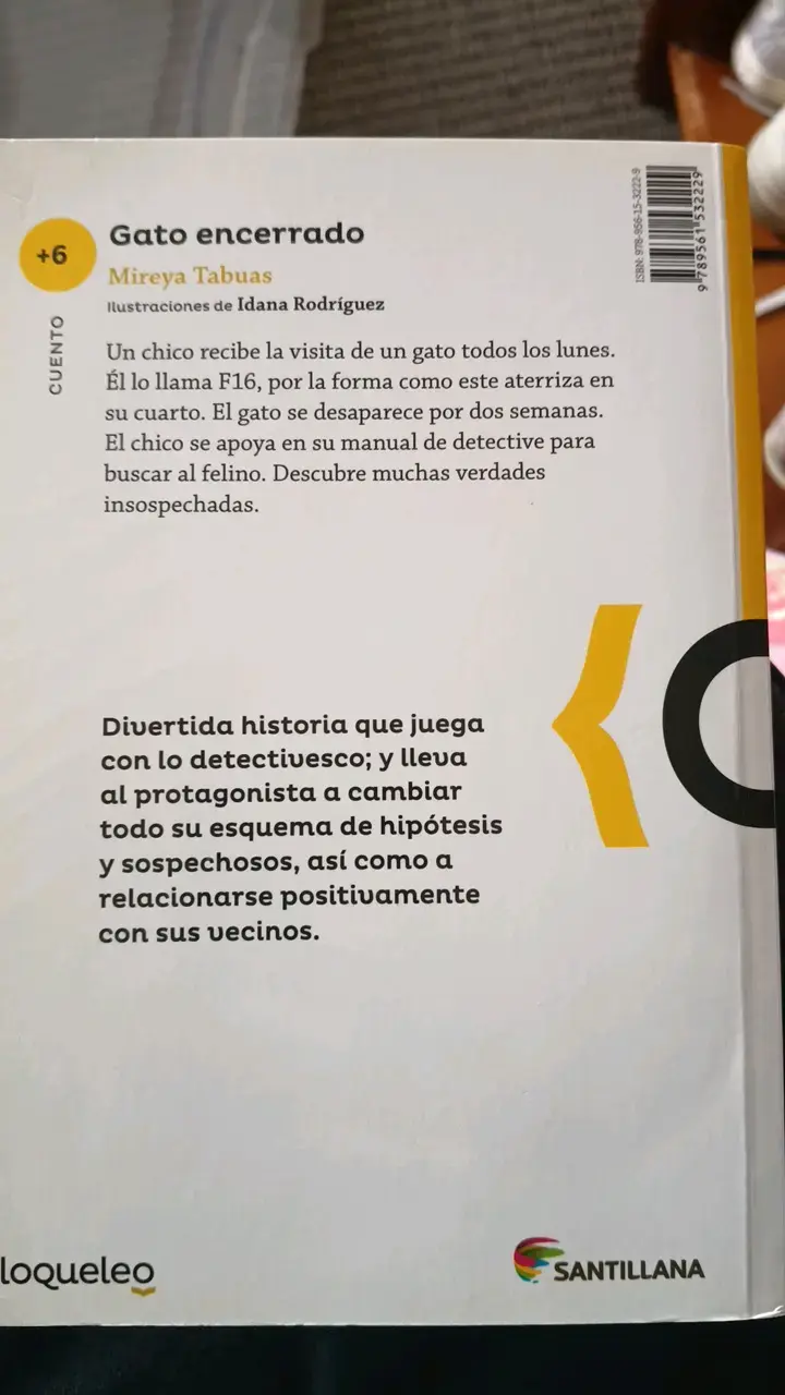 Libro 'Gato Encerrado' de Mireya Tabuas - 2