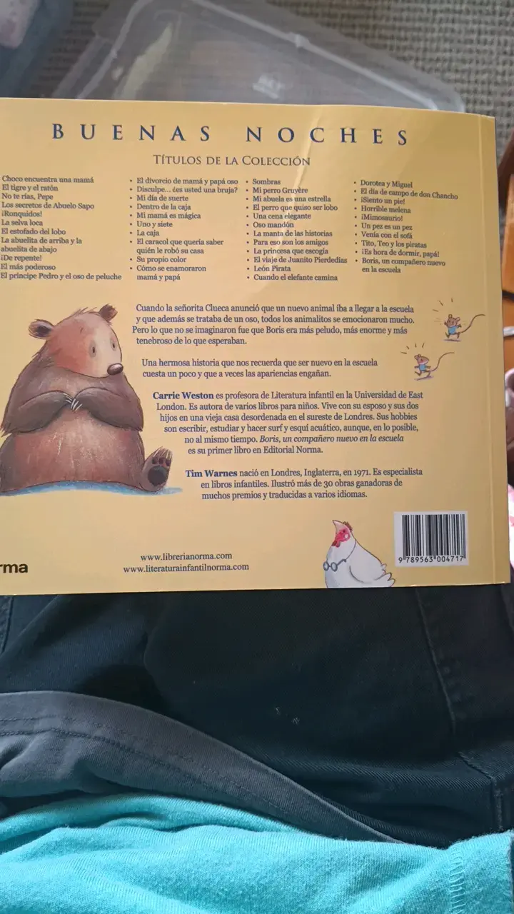 Libro infantil 'Buenas Noches Boris' - 2