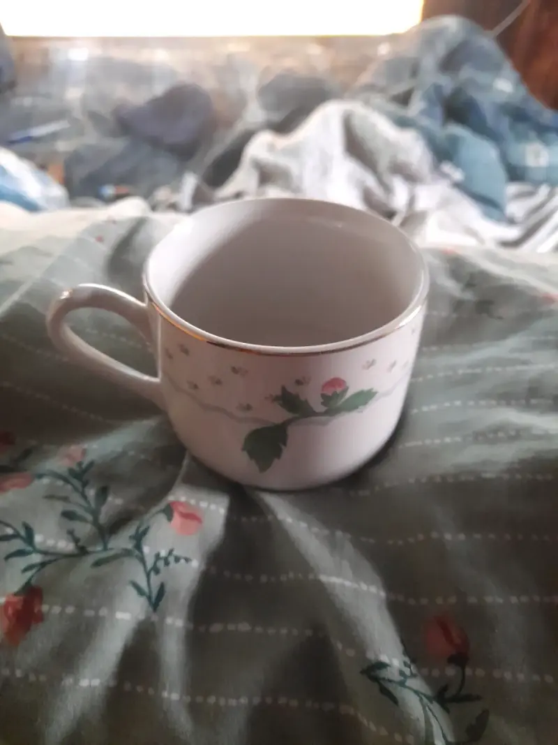 Juego de Tazas y Platillos de Porcelana Floral - 2