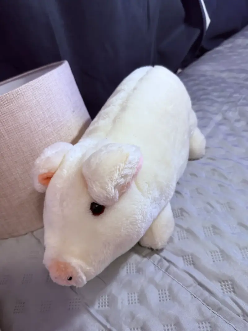 Peluches de animales en varios colores - 3