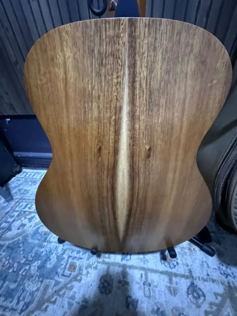 Guitarra acústica Taylor GS Mini con funda