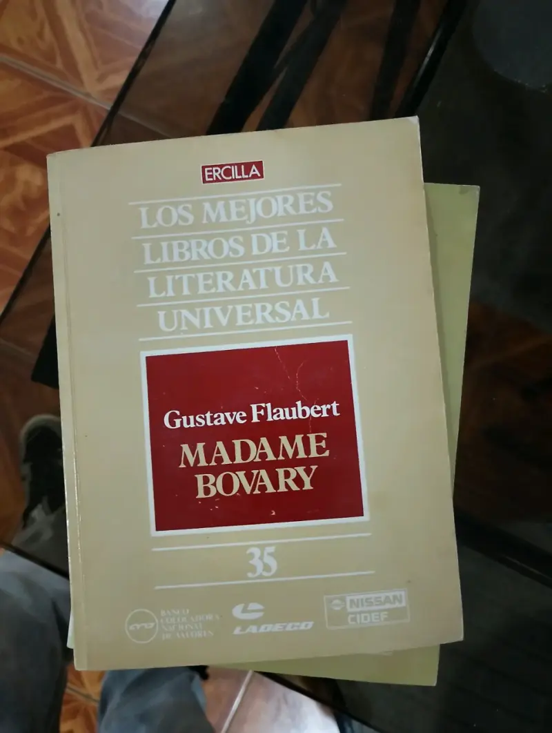 Colección de libros Ercilla - Madame Bovary y más