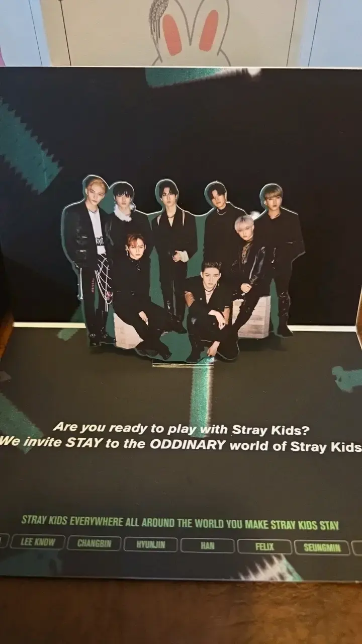 Álbum Stray Kids ODDINARY Edición Especial - 2
