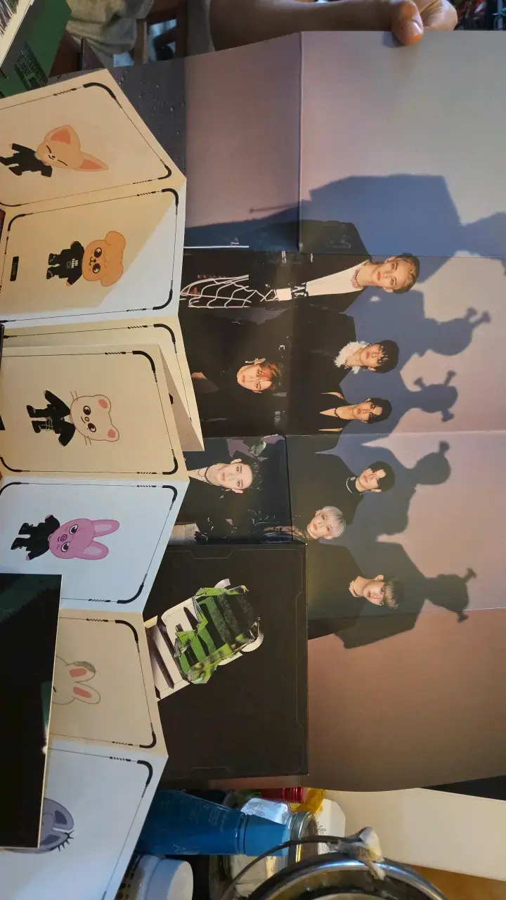 Álbum Stray Kids ODDINARY Edición Especial - 3