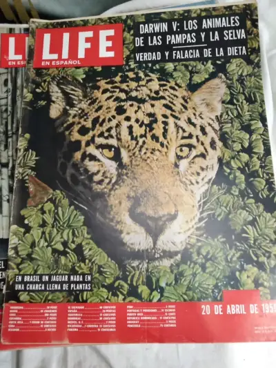 Pack de 4 Revistas Life en Español Años 50s -pack1 - miniatura 4