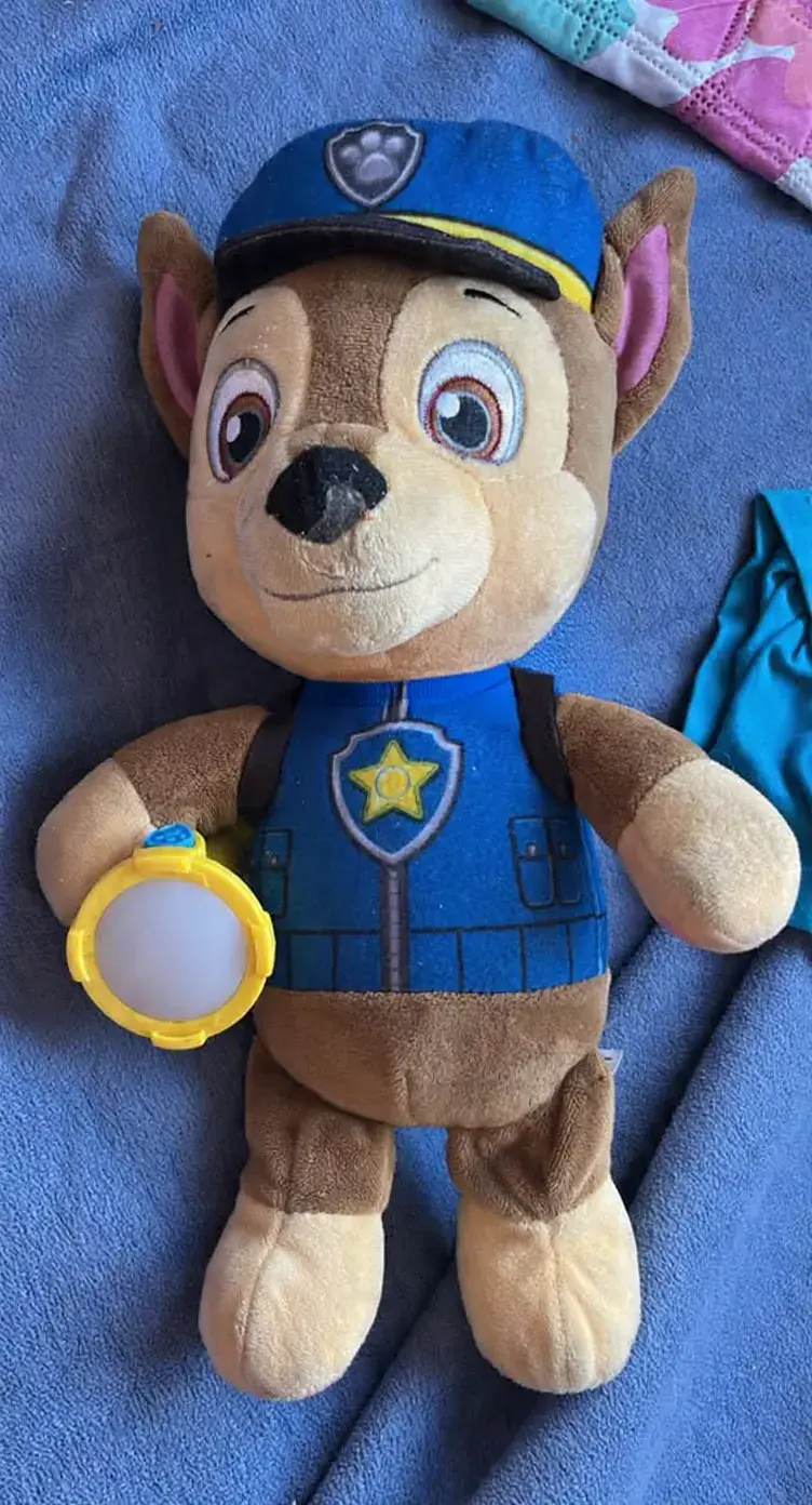Peluche paw patrol chase