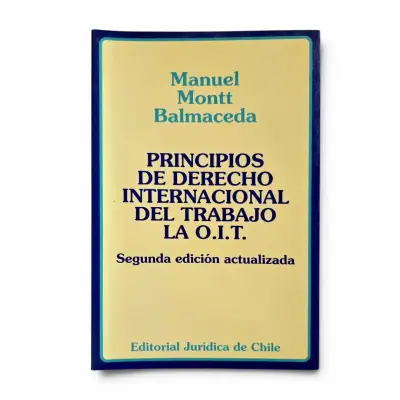 Libro Principios de Derecho Internacional del Trabajo - miniatura 1