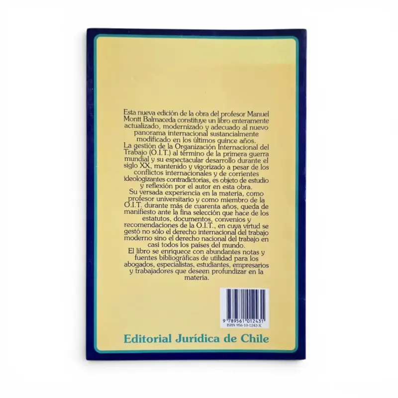 Libro Principios de Derecho Internacional del Trabajo - 2