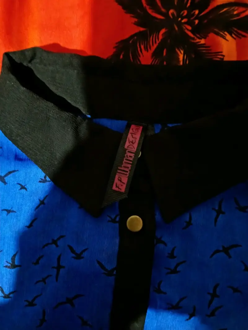 Blusa sin mangas azul con estampado de aves