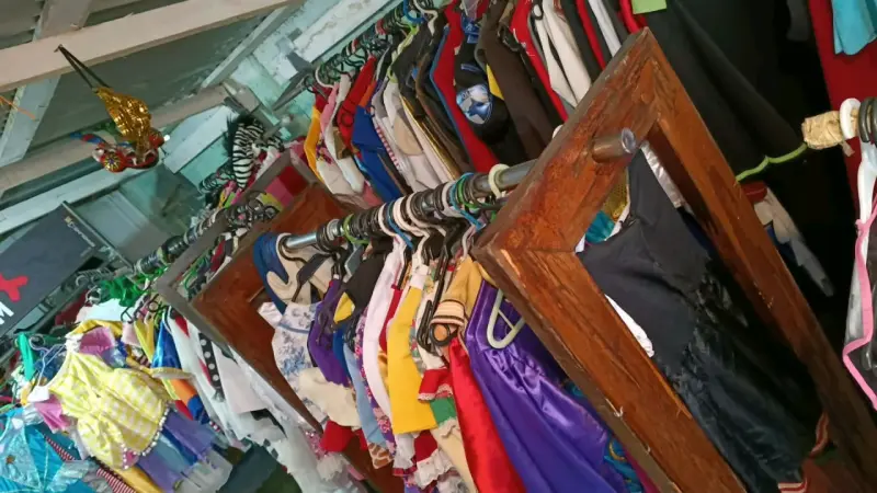 Lote de disfraces variados para niños y adultos