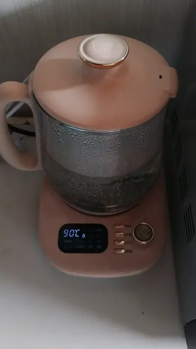 Hervidor eléctrico de vidrio con control de temperatura - miniatura 1