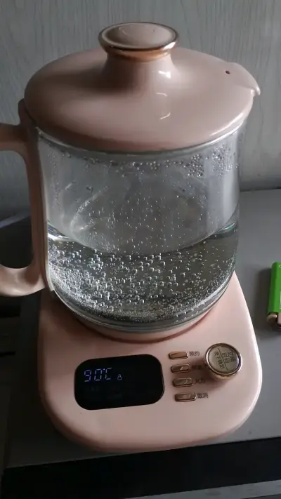 Hervidor eléctrico de vidrio con control de temperatura - miniatura 2