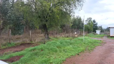 Casa en venta entre Pemuco y San Pedro - miniatura 6