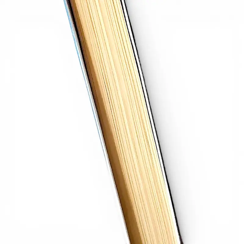 Libro 'Lugares Comunes' de Andrés Velasco - 3