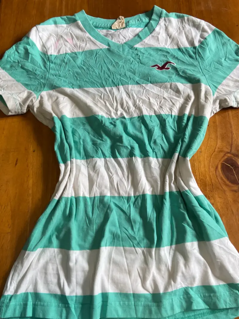 Polera a rayas verde y blanca Hollister
