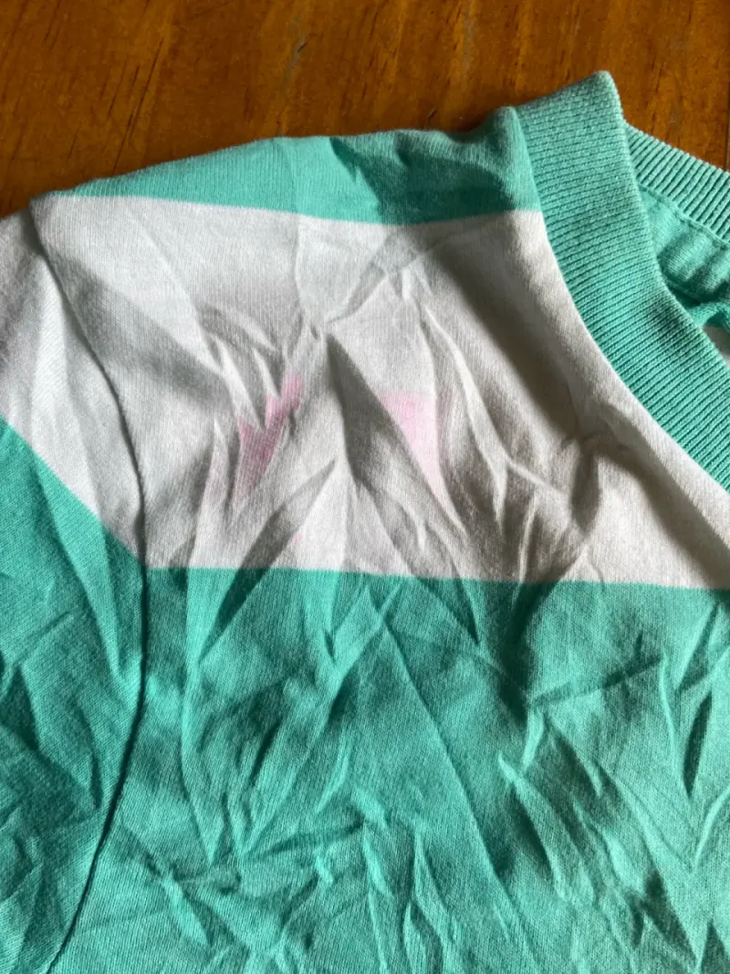 Polera a rayas verde y blanca Hollister - 4