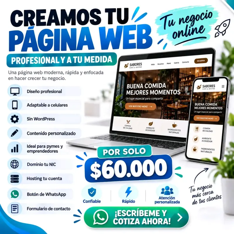 Servicio de creación de página web profesional